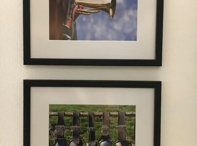 Bergelemente Im Hochwald